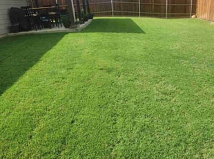 Tracy G.'s Yard Cutting service result