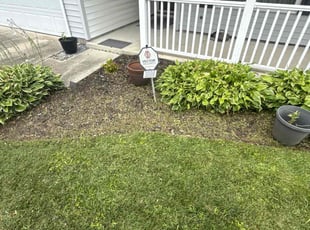 Weeding by Steven Moreira for Florida R. in Virginia Beach, VA