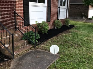 Cleanups by Tyler Gray for Katie S. in Chesapeake, VA