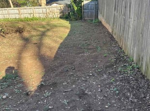 Leaf Removal by Joe Stasney for Alexandra G. in Charlotte, NC