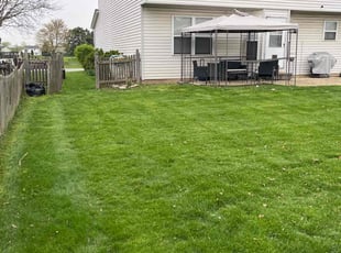 David M.'s Lawn Mowing service result