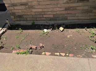 Leaf Removal by Ted Osioh for Debra H. in Dallas, TX