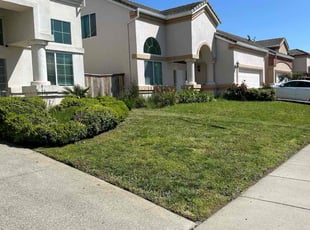 Cleanups by Luis Ocampo for Laura a. in Sacramento, CA