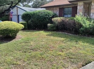 Bush Trimming by Jered Cordova for Gayle W. in San Antonio, TX