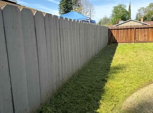 Jamesd F.'s Lawn Mowing service result