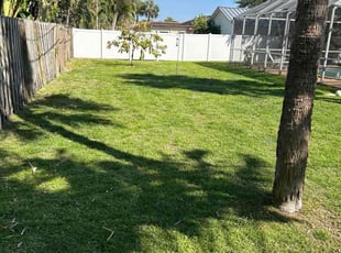 Nina M.'s Lawn Maintenance service result