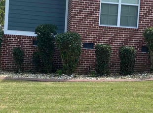 Bush Trimming by Richard Carpenter for Cameron C. in Evans, GA