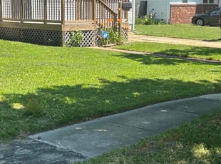 Brian T.'s Lawn Mowing service result