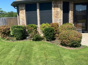 Bush Trimming by Curtis Garner for ANTHONY M. in Fort Worth, TX