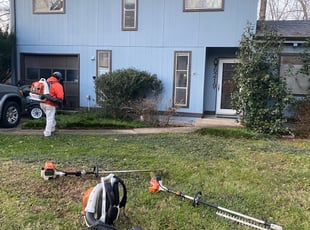 Leaf Removal by Angel P. for Michael M. in Burke, VA