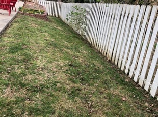 Mulching by Sheila Brown for Karen W. in Liberty, MO
