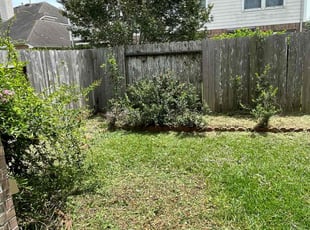 Weeding by Abraham Flores for Katie Y. in Katy, TX