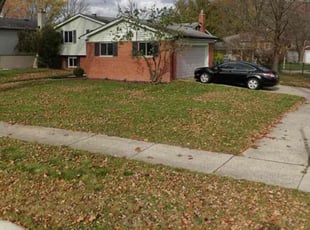 Cleanups by Terry Bell for Melba R. in Sterling Heights, MI