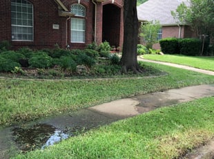 Cleanups by Kevin Capps for Rishi M. in Denton, TX
