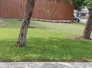 Patricia B.'s Grass Cutting service result