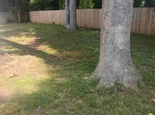 Weeding by Enrique Juarez for Jan J. in Woodstock, GA