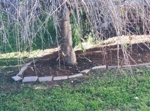 Weeding by Milan McDaniel for Ashley W. in Nashville, TN