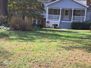 Leaf Removal by Brian Ziegler for Pete B. in Raleigh, NC