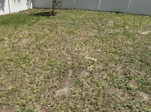 Cleanups by Adela converse for Enrique G. in Dade City, FL