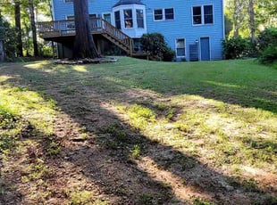 Bush Trimming by Willie P for Rick R. in Stone Mountain, GA