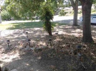 Cleanups by Scott Reeves for Alexia M. in Davis, CA