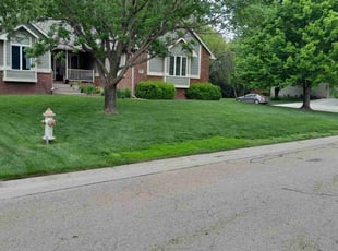 Frances E.'s Lawn Care service result