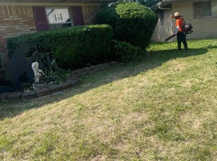 Bush Trimming by Luis Contreras for Briana N. in Indianapolis, IN