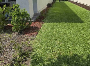 Alpeshkumar C.'s Lawn Maintenance service result