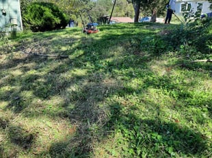 Cleanups by Jessica Porter for Moses Y. in East Riverdale, MD
