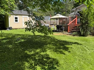 Dane Y.'s Yard Cutting service result