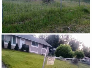 Bush Trimming by Nancy Shaw for Lindsey R. in Bonney Lake, WA