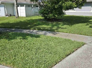 Marissa M.'s Lawn Mowing Service service result