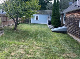 Letchas c.'s Lawn Mowing service result