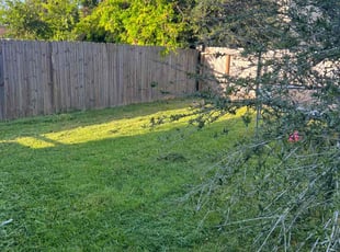 Carla H.'s Lawn Care service result