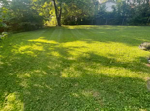 Marshaun T.'s Yard Cutting service result