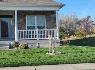 "Sam N.'s Grass Cutting service result