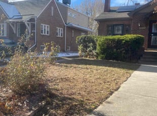 Leaf Removal by Connor Andrew for Hunter E. in Denver, CO