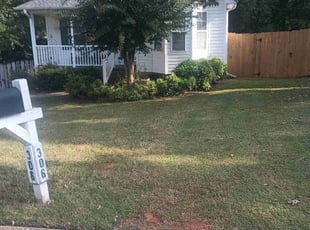 Tracy L.'s Lawn Care service result