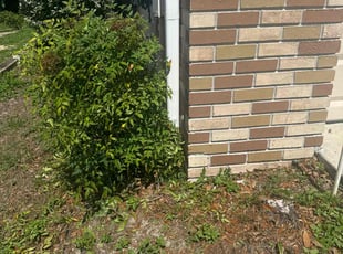 Bush Trimming by Robert Myers for Meagan K. in Deltona, FL