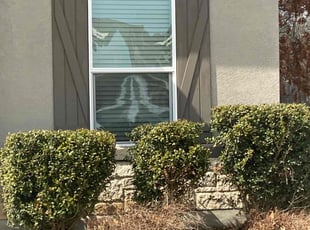 Bush Trimming by Bradley Matthiesen for David C. in San Antonio, TX