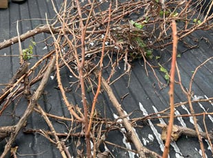 Cleanups by Bryant King for Demetria J. in Kansas City, MO