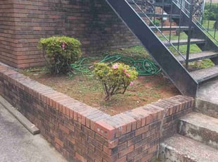 Weeding by Jazzmin Earl for April . in Decatur, GA