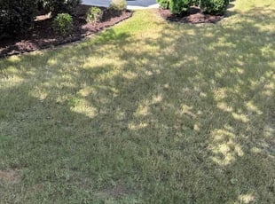 Mulching by William Akins for Gwen C. in Loganville, GA