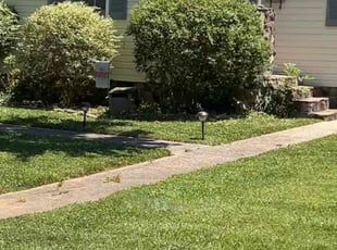 Bush Trimming by Marcus Baker for Laura F. in Charlotte, NC