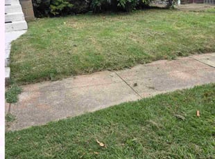 Bush Trimming by Jay Picha for Renee K. in St. Louis, MO