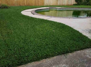 Dreampreneurs L.'s Lawn Mowing service result