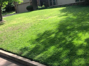 Leaf Removal by Paul Handley for Philip B. in Tulsa, OK
