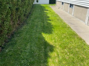 Ronald W.'s Lawn Service service result