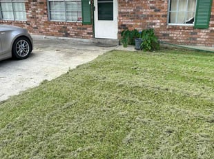 Katherine M.'s Yard Cutting service result