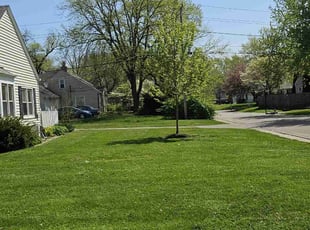 Samuel D.'s Grass Cutting service result